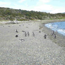 Ushuaia