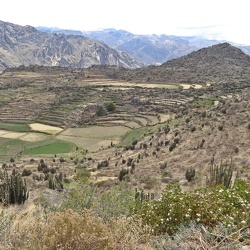 Colca Tal