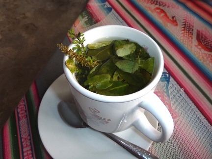 Mate Coca