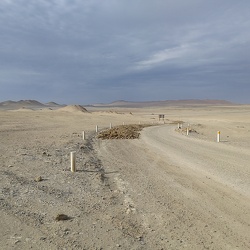 Paracas