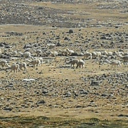Pass Landschaft