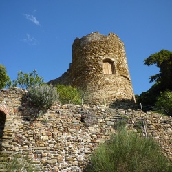 Bormes les Mimosas