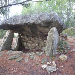 Brignoles