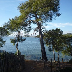La Londe