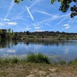 Le Cannet des Maures