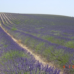 Provence