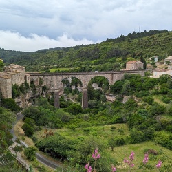 Minerve