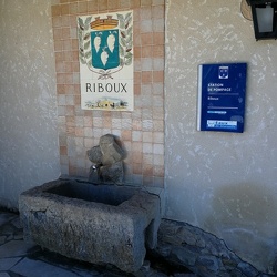 Riboux